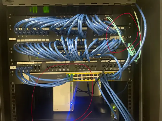 Rack-mounted patch panel and switch terminations with blue Cat6