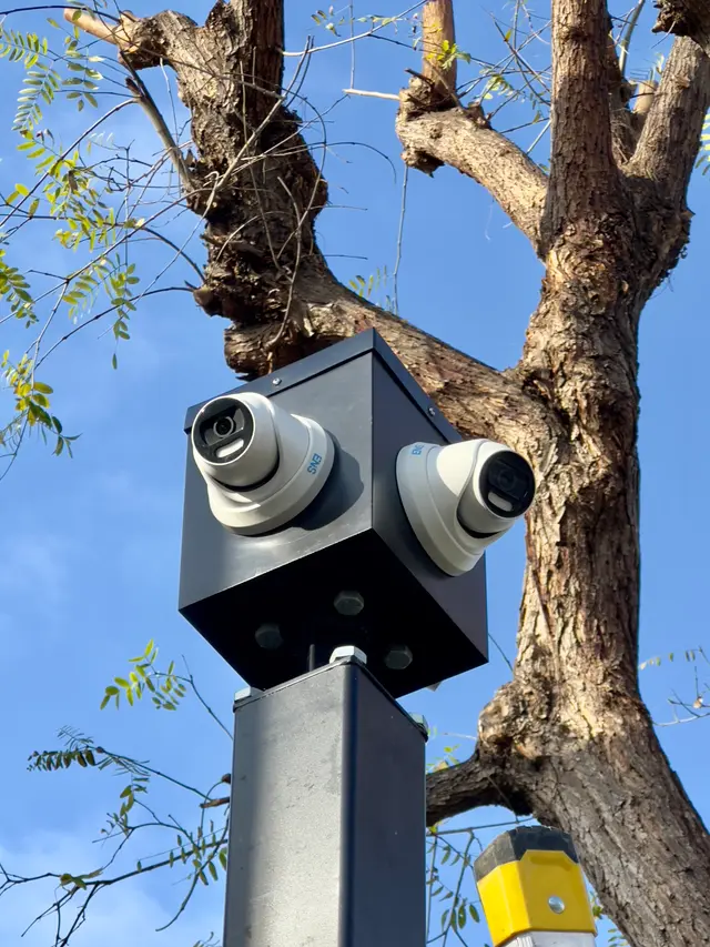 Multi-camera pole unit covering a tree-lined property